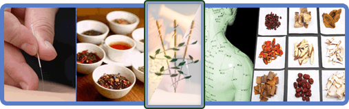 Acupuncture Training Courses